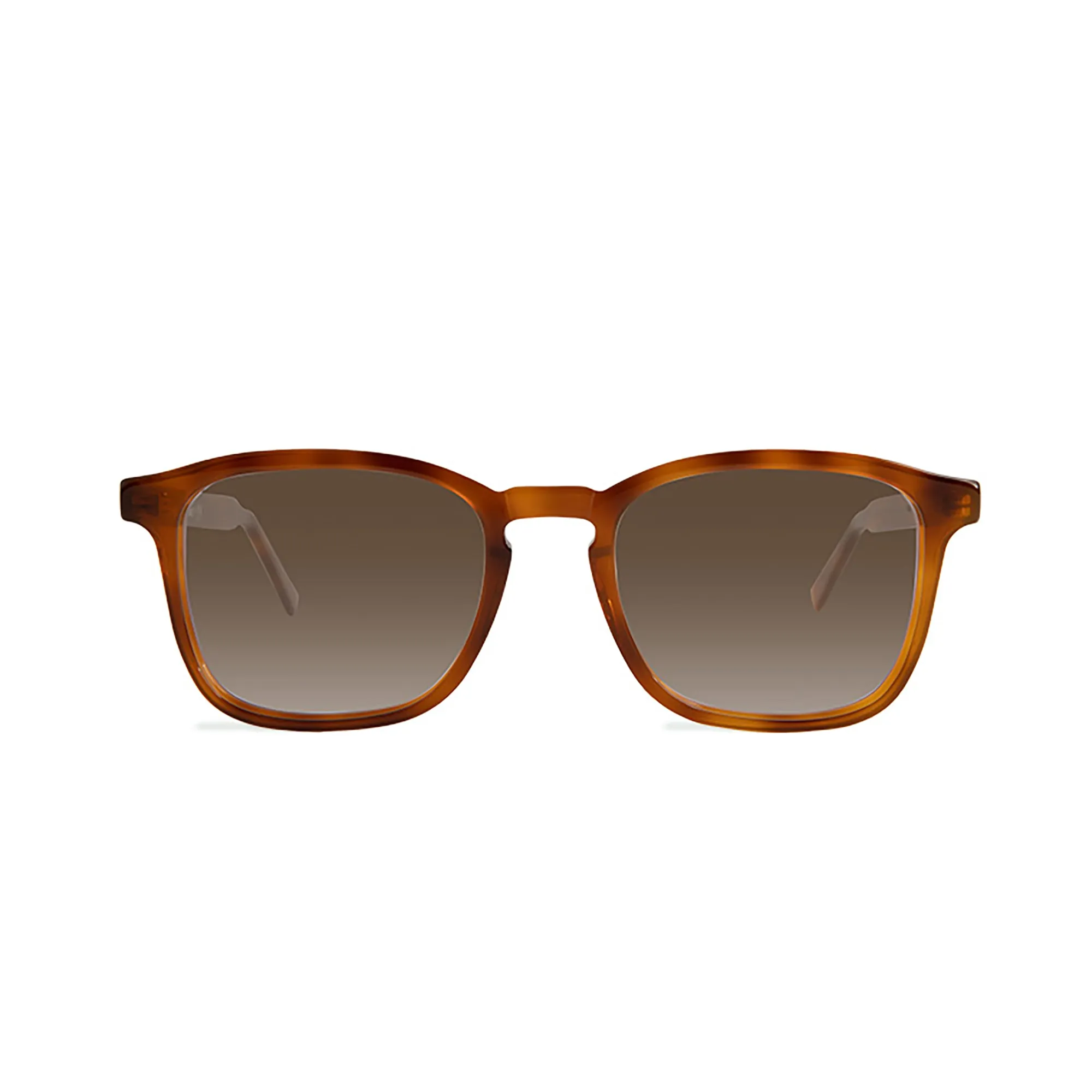 Bradford Sunglasses