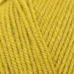 Encore Worsted