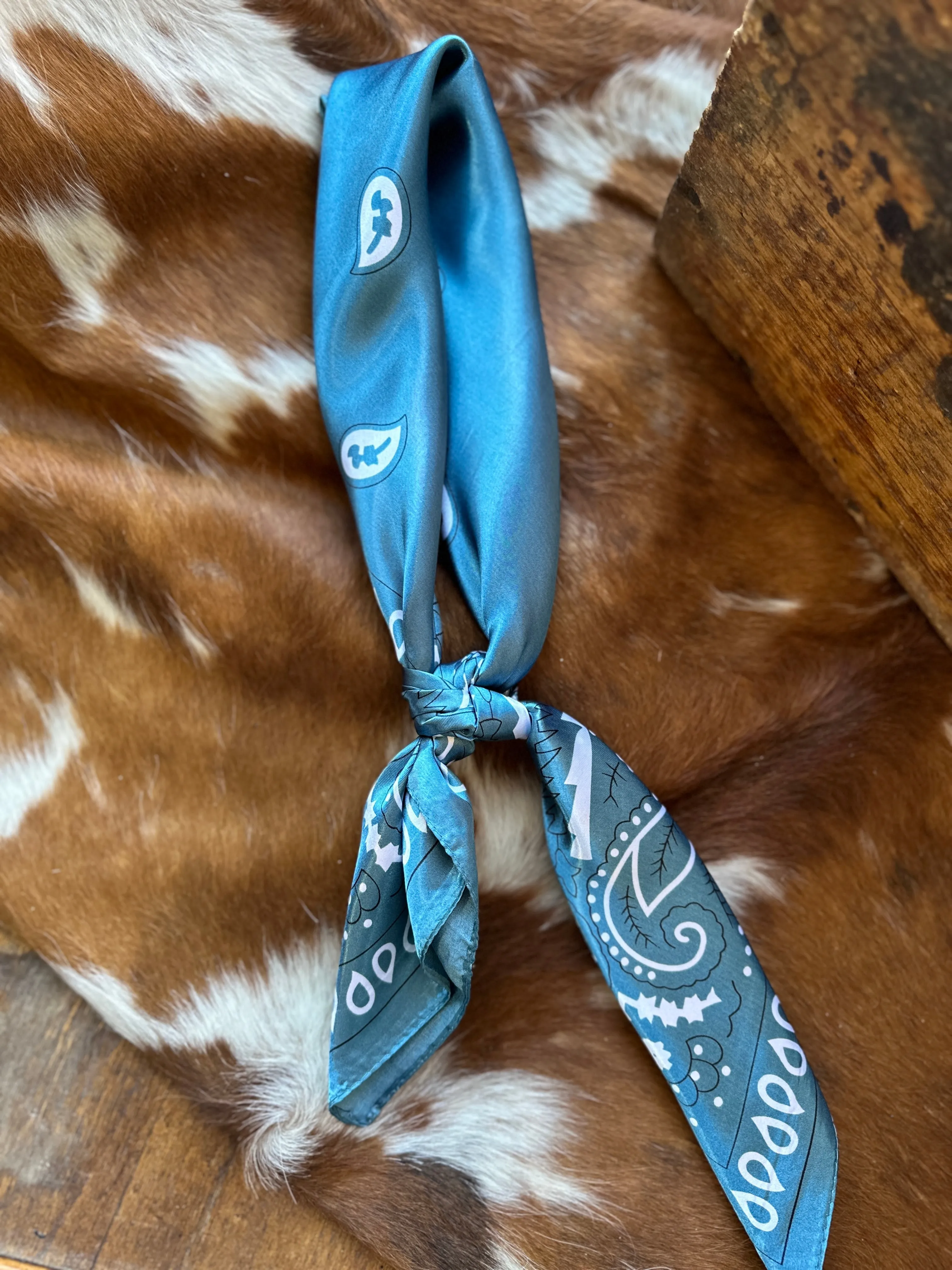 Risata Deep Turquoise Paisley Wild Rag